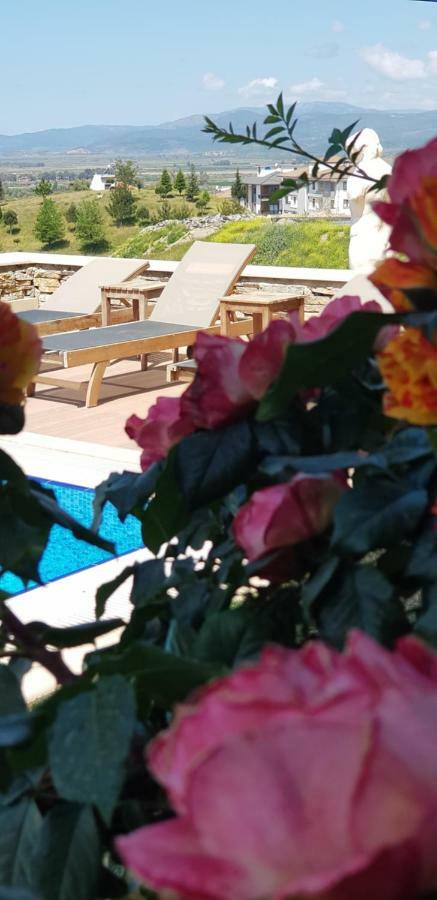 Vinifera Ephesus Hotel Selçuk Luaran gambar